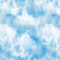 Fresh Sky Photography Scenery Backdrop Nature Theme Banner YMY-423