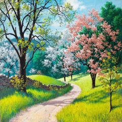 Forest Path Photography Scenery Backdrop Nature Theme Banner YMY-424