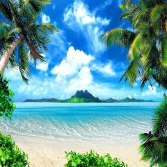 Beautiful Sea Photography Scenery Backdrop Ocean Theme Banner YMY-461