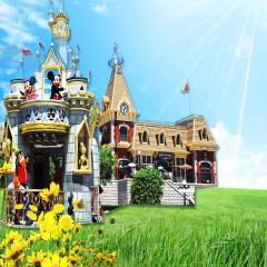Lovely House Photography Scenery Backdrop Cartoon Theme Banner YMY-577