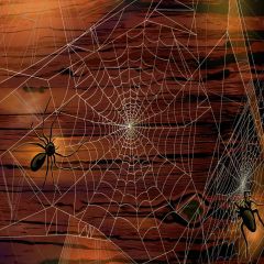 Precise Cobwebs Photography Scenery Backdrop Halloween Theme Banner YMY-619