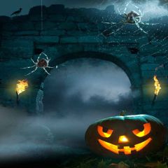 Terrible Spiders Photography Scenery Backdrop Halloween Theme Banner YMY-622