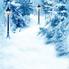 Snowy Trees Photography Scenery Backdrop Snow Theme Banner YMY-628