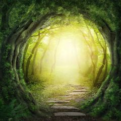 Mysterious Forest Photography Scenery Backdrop Fantasy Theme Banner YMY-648