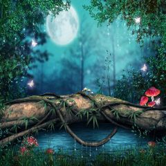 Flying Butterflies Photography Scenery Backdrop Night Theme Banner YMY-650